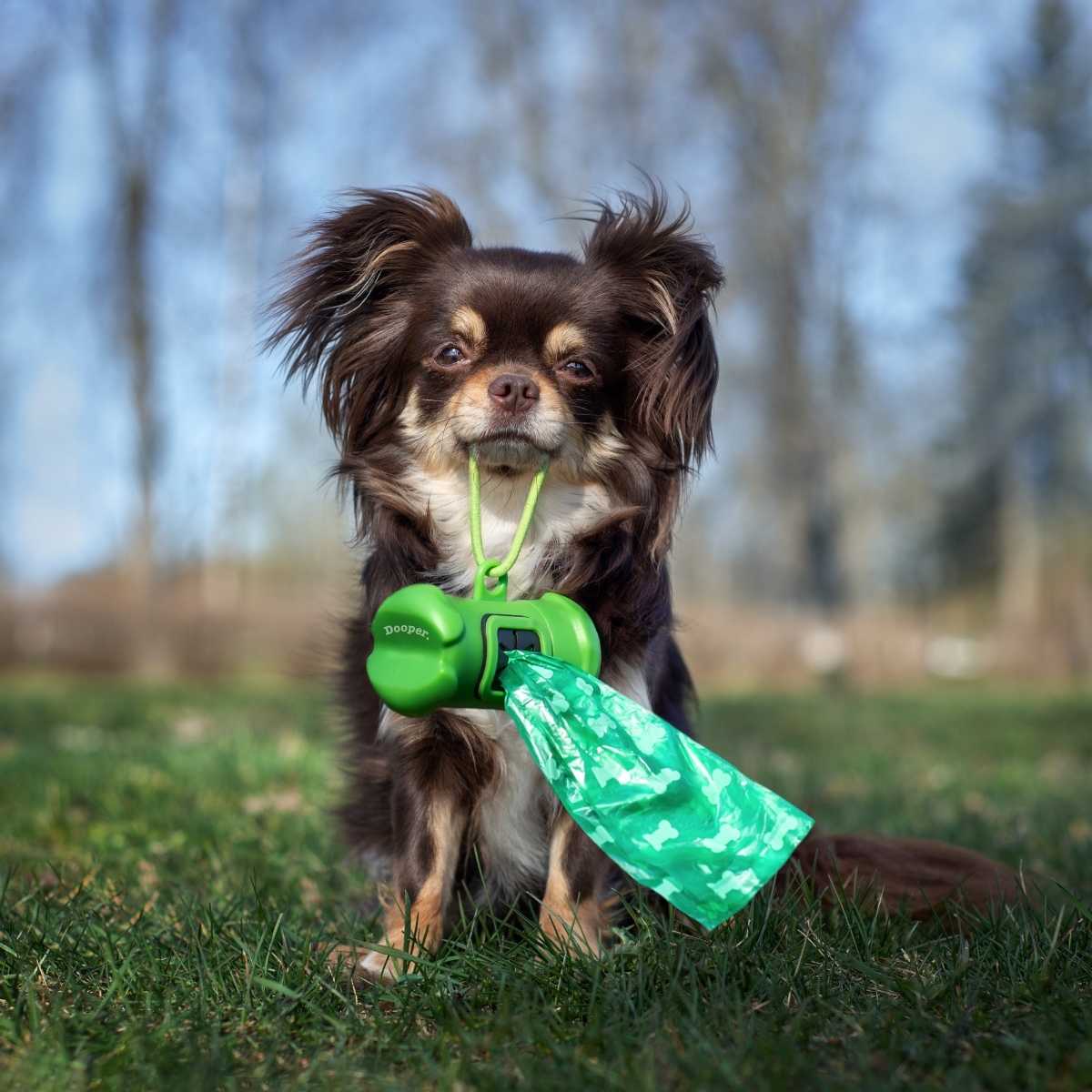 Dooper Dog Waste Removal Service