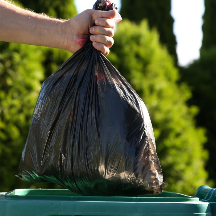 Dooper Dog Poo Removal Cleaning Moreton Bay Brisbane Dooper Will Remove All Dog Poo From Your Yard