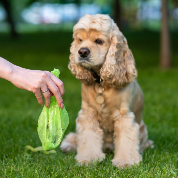 Dooper Dog Poo Removal Plans